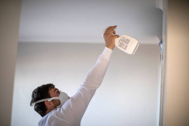 Best Crawl Space Mold Removal  in Little River, SC